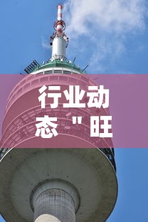 行业动态 ＂旺旺闽南麻将怎么开挂	”开挂辅助脚本+详细