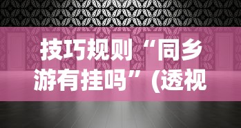 技巧规则“同乡游有挂吗”(透视)开挂详细教程