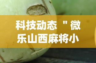科技动态 ＂微乐山西麻将小程序怎么可以赢	”开挂(透视)辅助