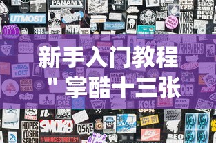 新手入门教程 ＂掌酷十三张辅助神器(透视)”分享必要外挂教程