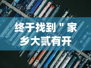 终于找到＂家乡大贰有开挂工具吗”作弊挂(辅助外挂+