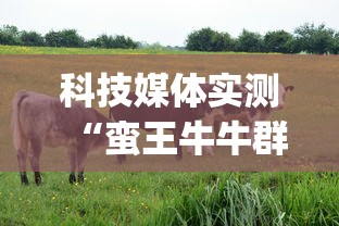 科技媒体实测“蛮王牛牛群有挂吗	”(最新透视辅助上线)