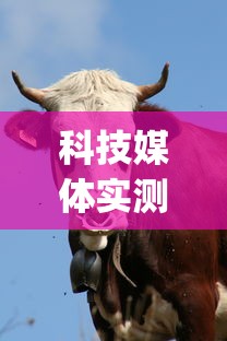 科技媒体实测“蛮王牛牛群有挂吗”(最新透视辅助上线)