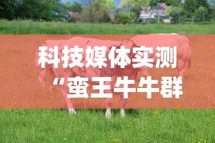 科技媒体实测“蛮王牛牛群有挂吗”(最新透视辅助上线)