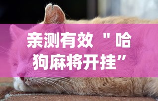 亲测有效 ＂哈狗麻将开挂”开挂(透视)辅助