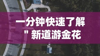 一分钟快速了解 ＂新道游金花挂是真的吗？_游戏_玩家_工具
